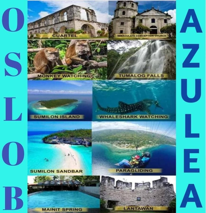Azulea Lodging House オスロブ エクステリア 写真